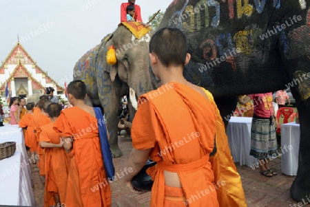 Das Songkran Fest oder Wasserfest zum Thailaendischen Neujahr ist im vollem Gange in Ayutthaya noerdlich von Bangkok in Thailand in Suedostasien.  