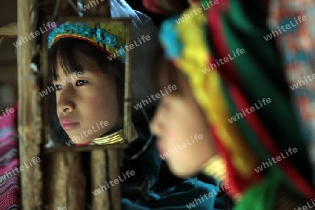 Eine Traditionell gekleidete Langhals Frau eines Paudang Stammes aus Burma lebt in einem Dorf noerdlich von Chiang Mai in Nord Thailand.