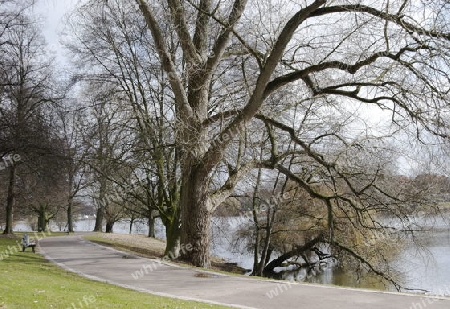 park view in the spring time