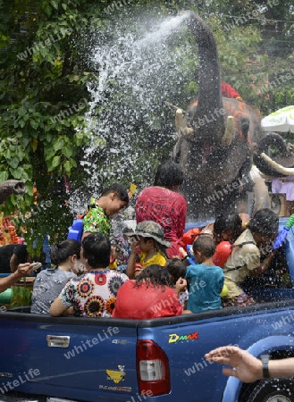 Das Songkran Fest oder Wasserfest zum Thailaendischen Neujahr ist im vollem Gange in Ayutthaya noerdlich von Bangkok in Thailand in Suedostasien.  