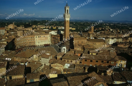 Siena