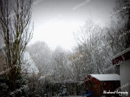 Der erste Schnee im Garten