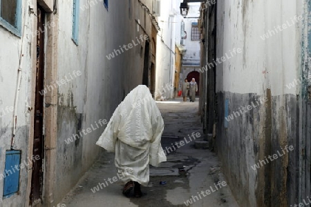 Afrika, Nordafrika, Tunesien, Tunis
Eine Gasse in der Medina mit dem Markt oder Souq in der Altstadt der Tunesischen Hauptstadt Tunis



