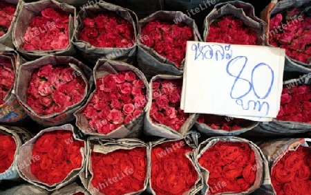 Blumen auf dem Pak Khlong Markt von Bangkok der Hauptstadt von Thailand in Suedostasien.