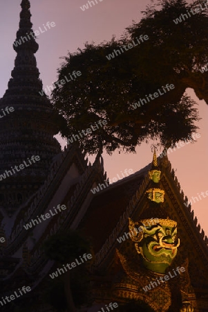 Der Wat Arun Tempel in der Stadt Bangkok in Thailand in Suedostasien.