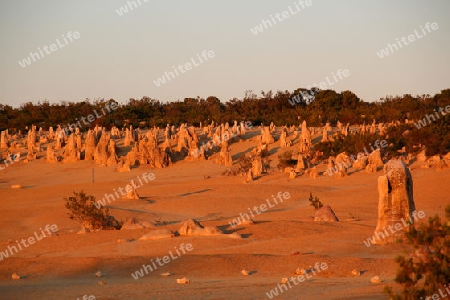 Pinnacle Desert - Cervantes, Western Australia