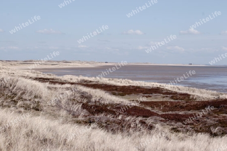 Wattenmeer bei Sylt