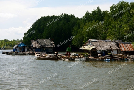 A fishing Village on a lagoon near the City of Krabi on the Andaman Sea in the south of Thailand. 