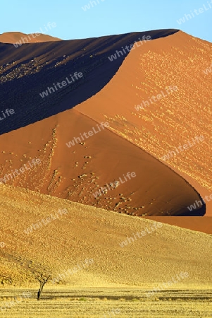 riesige Sandd?nen im letzten Abendlicht,  Namib Naukluft Nationalpark, Sossusvlei, Namibia, Afrika