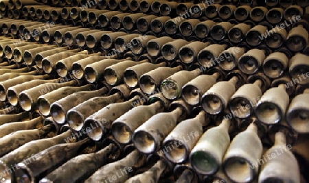 a wine farm in the centre of the Island of Lanzarote on the Canary Islands of Spain in the Atlantic Ocean.
