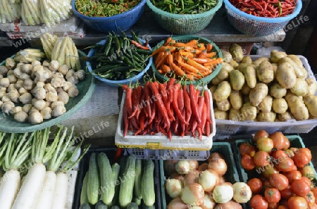 Frisches Gemuese auf einem Markt in der Hauptstadt Bangkok von Thailand in Suedostasien.