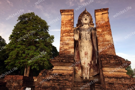 Eine stehende Buddha Figur  im Wat Mahathat Tempel in der Tempelanlage von Alt-Sukhothai in der Provinz Sukhothai im Norden von Thailand in Suedostasien.