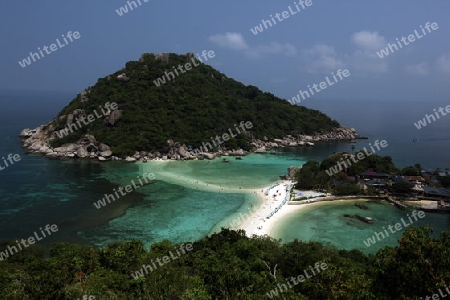 Die Strand und Insellandschaft auf der Insel Koh Naang Yuan neben der Insel Ko Tao im Golf von Thailand im Suedwesten von Thailand in Suedostasien. 