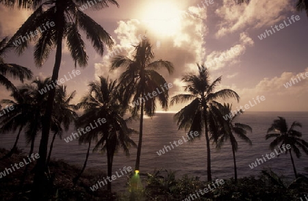 the landscape on the coast of the village Moya on the Island of Anjouan on the Comoros Ilands in the Indian Ocean in Africa.   