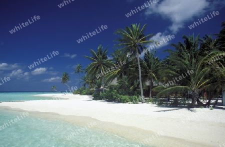 
Der Traumstrand mit Palmen und weissem Sand an der Insel Velavaru im Southmale Atoll auf den Inseln der Malediven im Indischen Ozean.   