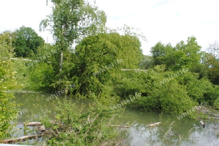 Hochwasser Rhein-Neckar