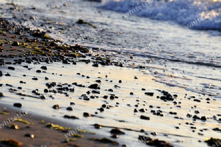 Steinstrand an der K?ste