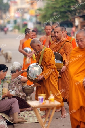 Moenche auf ihrem Rundgang am fruehem Morgen vor dem Tempel in der Stadt Tha Khaek in zentral Laos an der Grenze zu Thailand in Suedostasien.