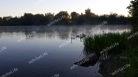 Nebelsee