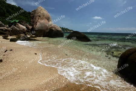 Der Strand  von Cape Je Ta Gang Beach auf der Insel Ko Tao im Golf von Thailand im Suedwesten von Thailand in Suedostasien. 