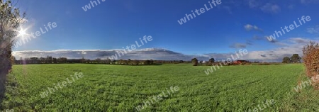 Beautiful high resolution panorama of a northern european country landscape with fields and green grass.