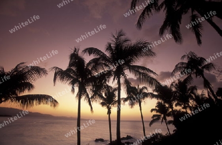 the landscape on the coast of the village Moya on the Island of Anjouan on the Comoros Ilands in the Indian Ocean in Africa.   