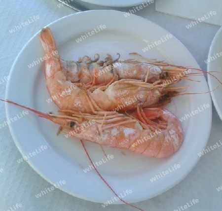 Gambas