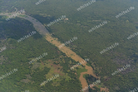 The Landscape with a ricefield near the City of Siem Riep in the west of Cambodia.