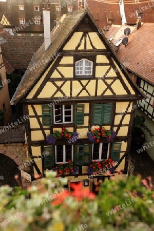  the Village of Turckheim in the province of Alsace in France in Europe