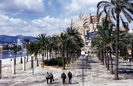 Die Kathedrale La Seu der Altstadt von Palma de Mallorca der Hauptstadt der Insel Mallorca einer der Balearen Inseln im Mittelmeer.  