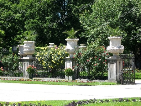 Steinsaeulen und Rosen