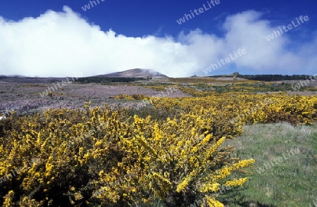 Europa, Atlantischer Ozean, Portugal, Insel, Madeira, Serra de Agua, Landschaft,
Die Serra de Agua im Zentrum der Insel Madeira im Atlantischen Ozean, Portugal, 