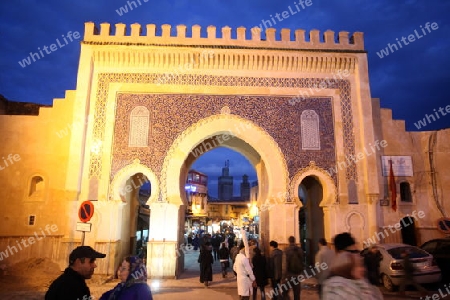 The blue Gate at the Bab Bou Jeloud in the old City in the historical Town of Fes in Morocco in north Africa.