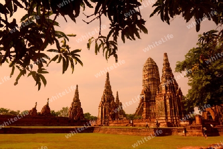 The Wat Chai Wattanaram Temple in City of Ayutthaya in the north of Bangkok in Thailand, Southeastasia.