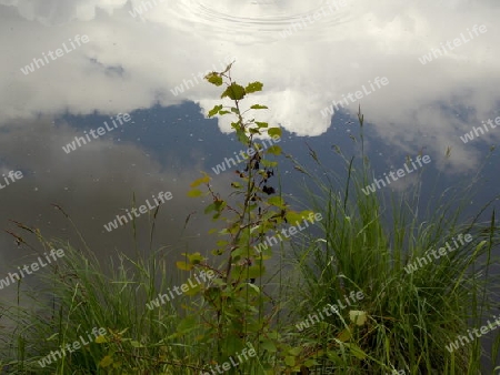 Wasserkreise in den Wolken