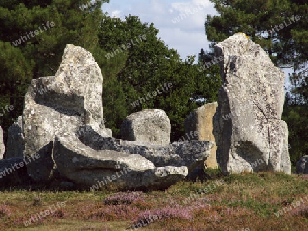 Menihrgruppe bei Carnac