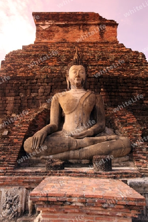 Eine Buddha Figur  im Wat Mahathat Tempel in der Tempelanlage von Alt-Sukhothai in der Provinz Sukhothai im Norden von Thailand in Suedostasien.