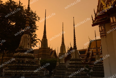 Die Tempelanlage des Wat Pho in der Hauptstadt Bangkok von Thailand in Suedostasien.