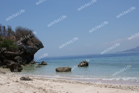 Insel Menjangan Bali