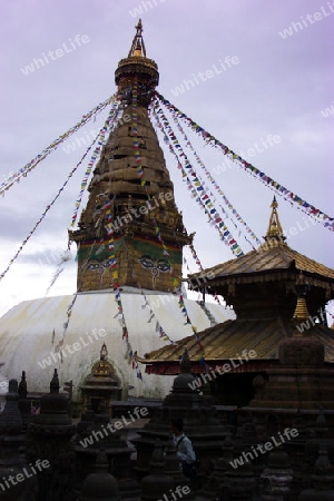 stupa4