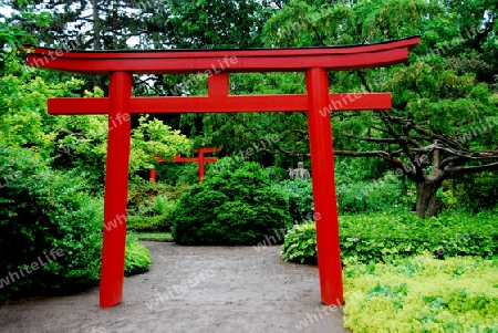 Chinesisches Tor im Park