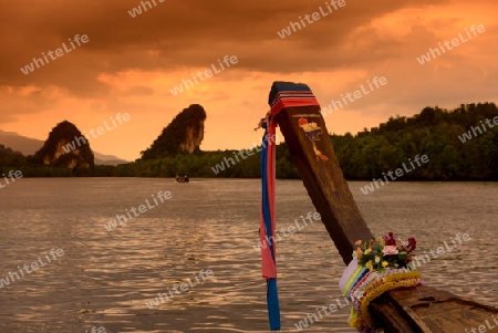 The mangroves at a lagoon near the City of Krabi on the Andaman Sea in the south of Thailand. 