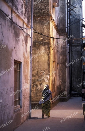 Die Altstadt von Stone Town  oder Zanzibar Town der Hauptstadt der Insel Sansibar im Indischen Ozean in Tansania in Ostafrika..