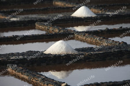 the Salinas of Las Salinas on the Island Fuerteventura on the Canary island of Spain in the Atlantic Ocean.