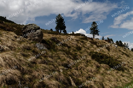 Zillertaler Berge, Oesterreich