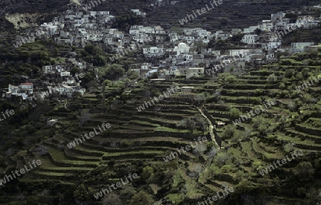 Naxos