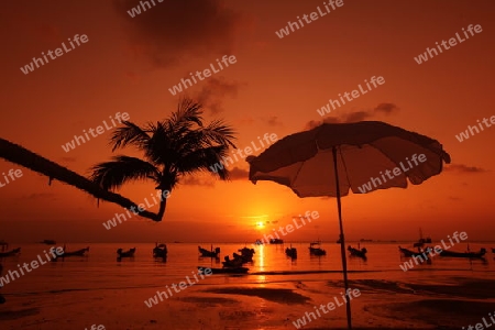 Der Strand  von Hat Sai Ri auf der Insel Ko Tao im Golf von Thailand im Suedwesten von Thailand in Suedostasien. 