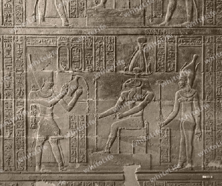 a relief at the Chnum Temple in Esna, a city in Egypt (Africa)