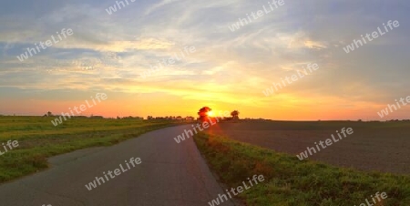 Beautiful high resolution panorama of a northern european country landscape with fields and green grass.