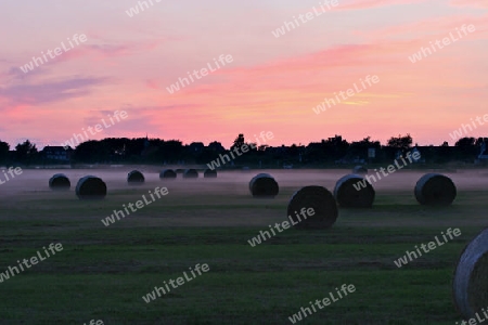 Nelelandschaft am Abend